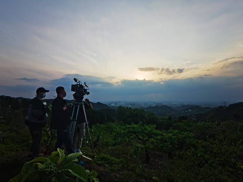 聚焦铜鼓县产品宣传视频拍摄公司，用专业实力铸就品牌传播传奇