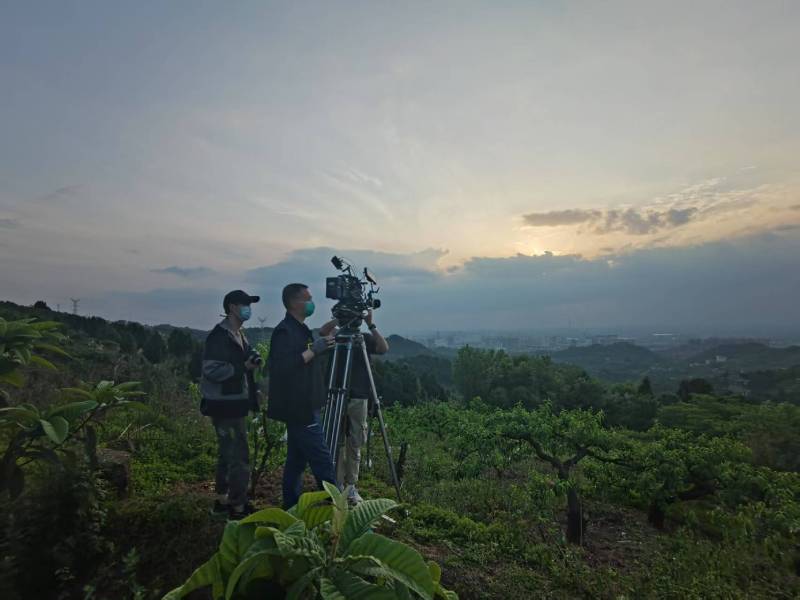 创意破圈！铜鼓县电商产品宣传视频用故事化叙事引爆流量