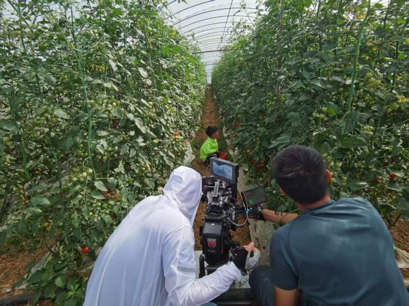 铜鼓县产品宣传视频拍摄公司进阶指南，助力品牌抢占传播高地